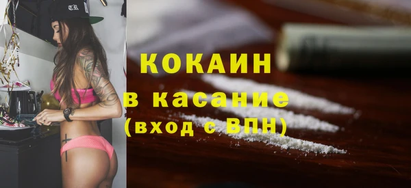 молекула духа Новозыбков