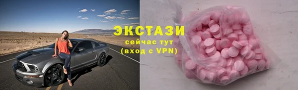 молекула духа Новозыбков