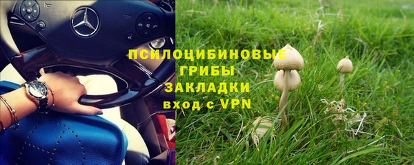 хмурый Новодвинск