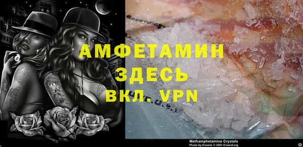 молекула духа Новозыбков