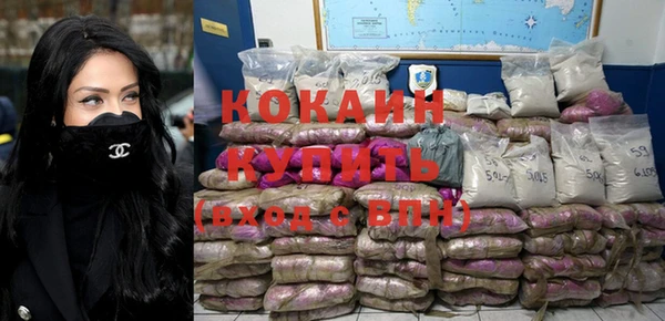 молекула духа Новозыбков
