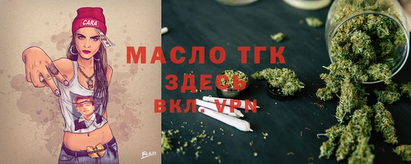 молекула духа Новозыбков