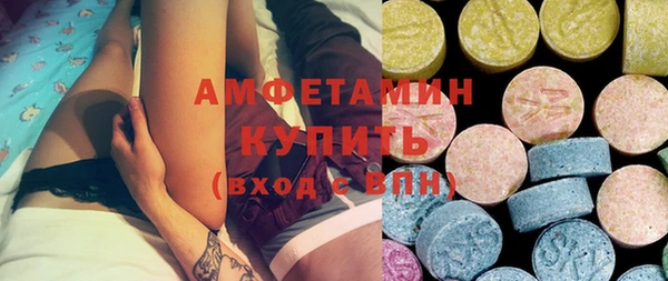 молекула духа Новозыбков