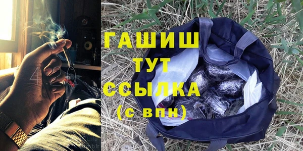 молекула духа Новозыбков